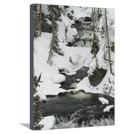 Snowy Stream in Yellowstone National Park, UNESCO World Heritage Site, Wyoming, United States of Am Stretched Canvas Print Wall Art By Kimberly