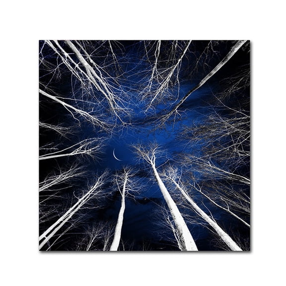 Philippe Sainte-Laudy 'Renegades' Canvas Wall Art 14 x 14