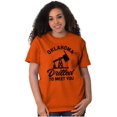 thumbnail image 4 of Oklahoma OK Pun Drilled to Meet You Men's Graphic T Shirt Tees Brisco Brands M, 4 of 6