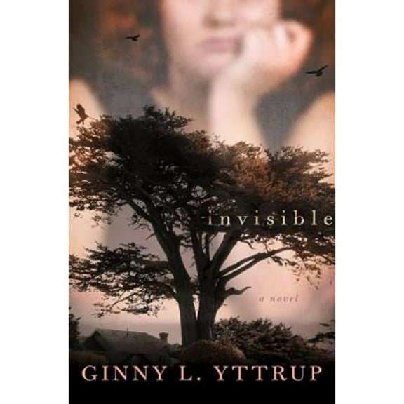 Invisible : A Novel (Paperback)