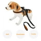 thumbnail image 4 of Collar Correa para mascotas, Collar de correa de nailon para mascotas Correa para perros pequeños, medianos y grandes Correa de nailon Estándares líderes en la industria, 4 of 11