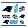 thumbnail image 2 of Rico Industries Nfl Football Carolina Panthers Vaso Tritan De Doble Pared De 20 Oz, 2 of 5