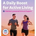 thumbnail image 2 of Healths Harmony Sambucus Elderberry Immune Support Supplement for Adults, 60 Gummies, 2 of 9