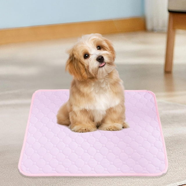 Almohadilla lavable para orina de perro, suministros reutilizables para mascotas, tapete para caja súper absorbente y ligero de secado rápido, tapete XL