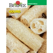 Burpee Luffa Gourd Vegetable Seed