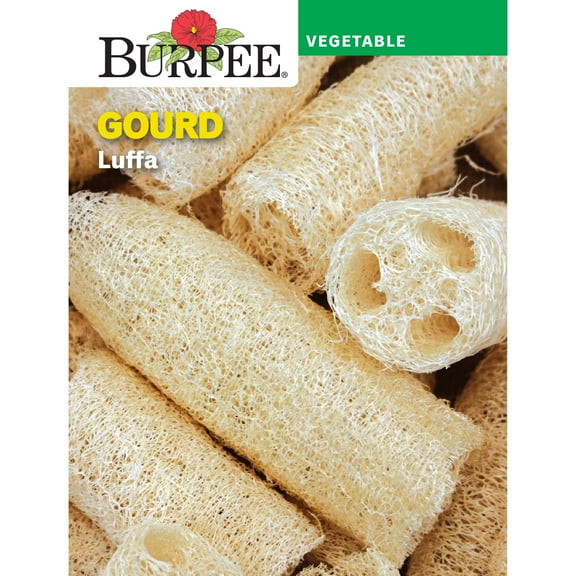 Burpee Luffa Gourd Vegetable Seed