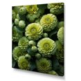 thumbnail image 2 of Designart "Twilight Green Blooms Of Zinnias" Zinnias Canvas Art Print, 2 of 7