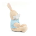thumbnail image 2 of Inspire Bunny Stuffed Animals with Tee, 2 of 3
