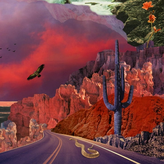 Turkuaz - APOLLYON - Music & Performance - Vinyl