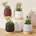thumbnail image 7 of 15 Pack Wooden Plant Markers, T-Shaped Funny Plant Labels for Potted Plants, Succulents, Herb Garden, Outdoor & Indoor Gardening, with Whimsical Slogans (6.8x11.9cm), 7 of 7