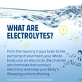 thumbnail image 3 of Sqwincher Zero Electrolyte Powder Packets Qwik Stik  Sugar Free Drink Mix, Pineapple, 0.11 oz, Makes 20 oz, 50 Sticks per Pack, 3 of 4