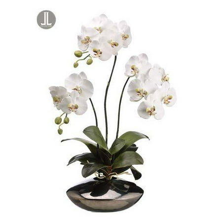 Tori Home Phalaenopsis Orchid Plant in Ceramic Pot