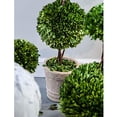 thumbnail image 2 of A&B Home Faux Boxwood Topiary - Single Sphere-Color:Green,Style:Botanical, 2 of 4