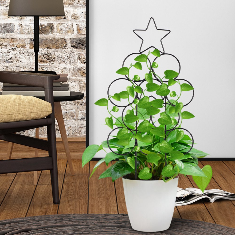 Treillis Métallique Pour Plantes Grimpantes 80 Cm - Support Extérieur Pour Rosiers, Clématites, Tomates... - 9