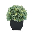 thumbnail image 3 of Faux Hydrangea in Black Tapered Zinc Cube Sage, 3 of 5