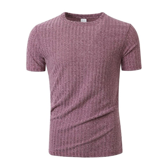 LIaqionyy Men's Shirt Short Sleeve Ribbed Slim Muscle Shirts Casual Workout Crew Neck Solid Color Tee Tops