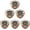 6 PC, variant on 250th Anniversary Nurse Pin 2026, Patriotic 250 Years of Compassion Badge, America Birthday Brooch, Commemorative Enamel Lapel Pin for Nurses, 1/3/6 Packs