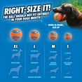 thumbnail image 6 of Chuckit! Fetch Medley Rubber Balls Dog Toy, Medium (2.5") for Dogs 20-60 lb, Pack of 3, Assorted, 6 of 9