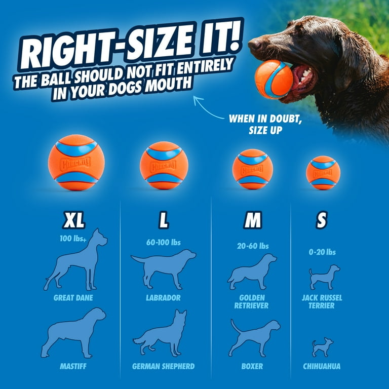 Chuckit! Fetch Medley Gen 3 Rubber Balls, Pack of 3 Medium photo 6
