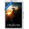 thumbnail image 3 of Dragons (2025) - Fiche d'information, 3 of 3