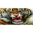 thumbnail image 1 of Tiger Roaring Photo License Plate, 1 of 1
