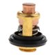 thumbnail image 4 of Termostato para barco 50  degree de refrigeración del enfriador del motor marino para - dorado 4S 2.5 Baoblaze Termostato externo para barco, 4 of 7