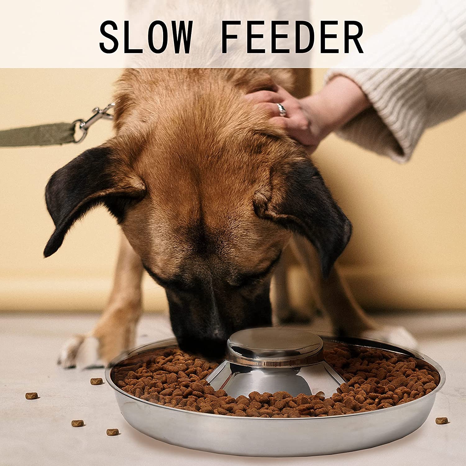 TiokMc Stainless Steel Raised Slow Feed Bowl photo 2