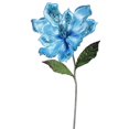 thumbnail image 1 of Tige de Fleur de Magnolia Bleu Ciel&44; 22 & 9 Po., 1 of 1