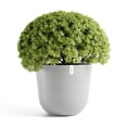 thumbnail image 4 of Ecopots Oslo Durable Modern Round Indoor/Outdoor Recycled Based Composite Flower Pot Planter, White Grey, 25.5", 4 of 4