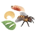 thumbnail image 4 of Conjunto de modelos de ciclo de de animales Juguete de salmón Colección de juguetes educativos para Sunnimix  Juego de crecimiento de tortugas marinas, 4 of 8