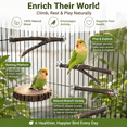 thumbnail image 4 of Natural Wood Bird Perch, Parrots Rest Stand Tree Branch for Bird Cage, Claw Grinding Stick for Small Birds Playground, 4 of 10