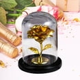 thumbnail image 4 of Forever Preserved Rose Display Dome, Valentine's Day Decorative Rose Gifts for Women Mom Wife Girlfriend (Gold), 4 of 6