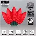 thumbnail image 3 of Wintergreen Lighting C9 Red Christmas Lights LED String Lights, Set of 25 Lights on Green Wire, 17ft, 3 of 6