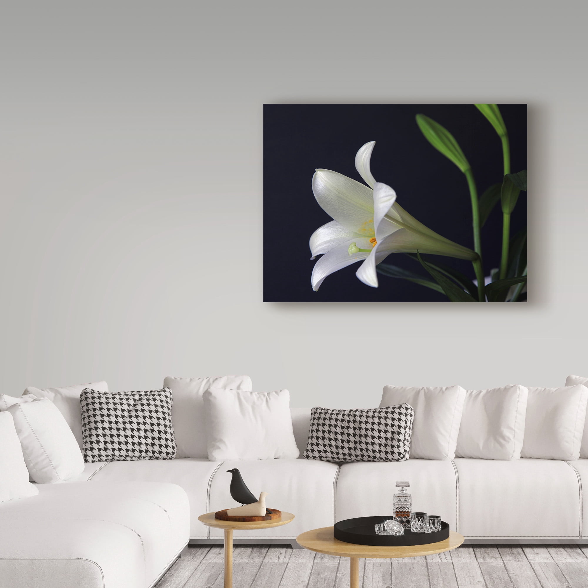 Trademark Fine Art 'Lily 1 White' Canvas Art by J.D. McFarlan