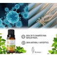 thumbnail image 2 of Aceite Esencial Herbolare Tea Tree 10 ml, 2 of 2