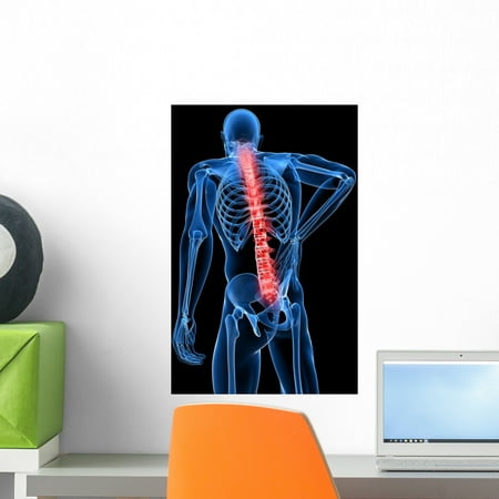 3D Rendered Medical X-ray Wall Mural by Wallmonkeys Peel and Stick Graphic (18 in H x 14 in W)