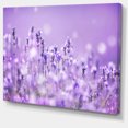 thumbnail image 2 of Champ de Lavande Violette - Impression sur Toile Paysager, 2 of 3