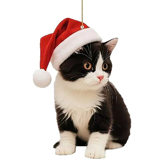 Cute Kitten Christmas Hat Pendant,Cat Decorated Ornament for Christmas Tree,Double Printed Cute Cat Acrylic Hanging Ornaments,Cat Lover Ornaments,Realistic Cat Gifts,Christmas Tree Pet Ornament,Black