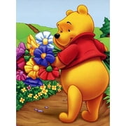 Diamond Painting Kits,Winnie the Pooh Diamond Art Kit for Adults Full Round Drill,Paint with Diamond for Gift,Wall Decor 12X16IN