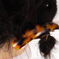 thumbnail image 3 of Pinces à Cheveux Léopard Couleur Assortie pour Femmes Durables en Alliage à Ressort Barrettes Ensemble de 2 Pcs, 3 of 8