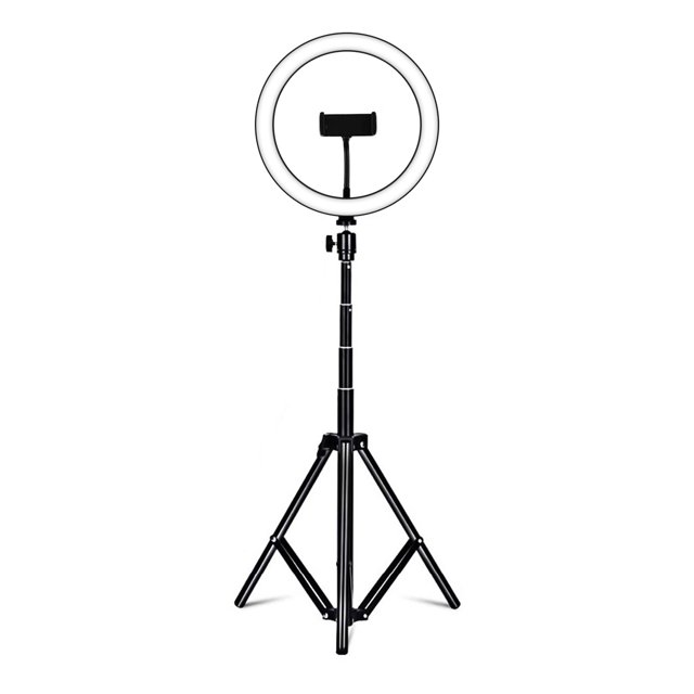 20cm/8inch RGB Ring Light LED Fill Light Dimmable USB Powered with Desktop Tripod Metal Light Stand Dual Phone Holders Remote Shutter Remote Control for Live Streaming Online Video Selfie Ma