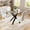 Black + White, variant on 47.24 Inch Rectangular Glass Dining Table For 4, Modern Tempered Glass Kitchen Table With X-Shaped Metal Legs For Dining Room, Small Space (Silver Only Table)