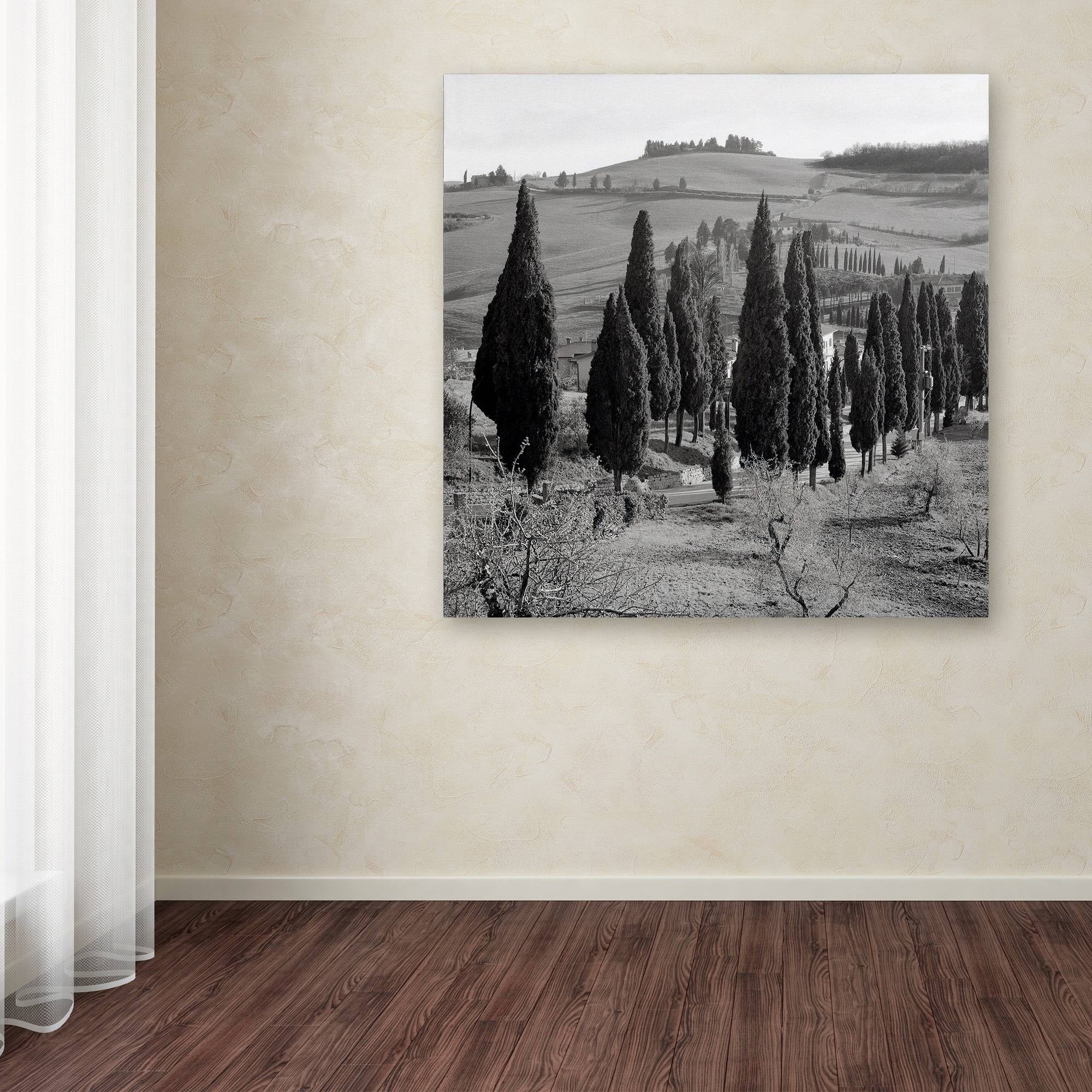 Trademark Fine Art "Tuscany IV" Canvas Art by Alan Blaustein
