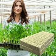 50 Pcs Rock Wool Grow Cubes for Cuttings Cloning Plants Propagation Starting Hydroponic Grow Media Rooting Cuttings