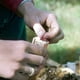 thumbnail image 4 of Jaula de Madera para Abeja Reina, Jaula Multifuncional para Abejas, Jaula para Cría de Abejas, Prisionero de Poste Reina de Abejas, Herramientas de Apicultura, 4 of 10
