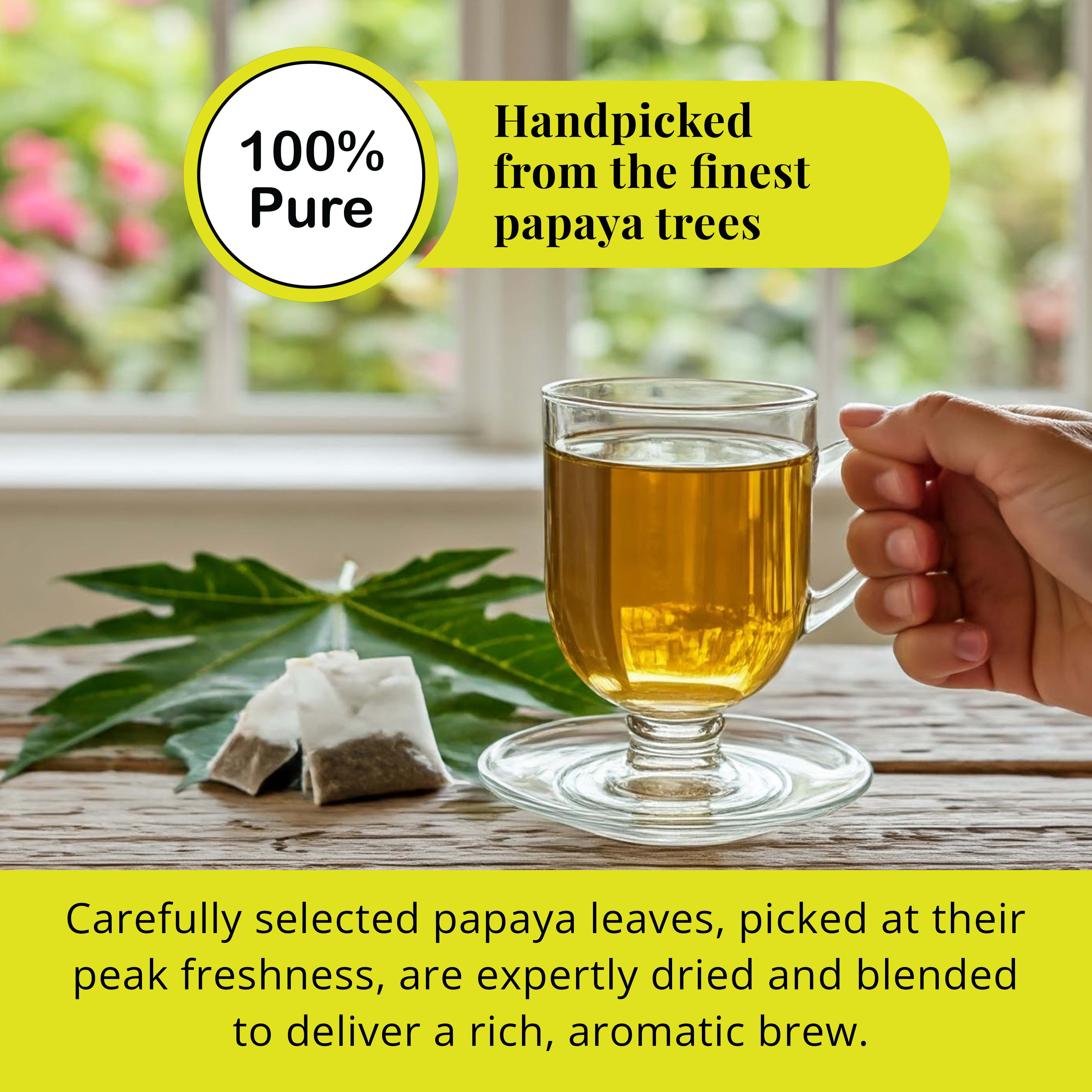 Akshit Papaya  Leaf Tea Bags,  150 Count,  100% Natural Papaya Leaves,  Caffeine-Free, Aromatic Herbal Tea, Non GMO.
