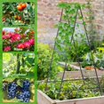 thumbnail image 3 of Soporte para plantas de jardín Yotoworth metálico en forma de A 180x81 cm negro, 3 of 7