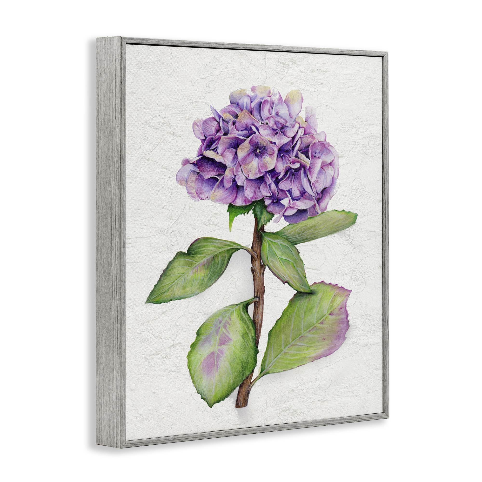 Stupell Industries European Style Hydrangea Botanical & Floral Painting Gray Framed Art Print Wall Art, 16 x 20