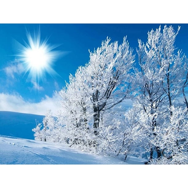 Cuadro de diamantes (DE2272) Escena de nieve de montaña redonda DIY B1679 50x70cm Hugtrwg Para estrenar