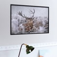 thumbnail image 2 of Close-up of A Red Deer Stag in Winter Jigsaw Puzzles 1000 Pieces for Adults, Challenging Puzzle Perfect for Game Nights, 2 of 5